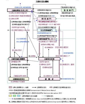 治験の流れ概略.jpg