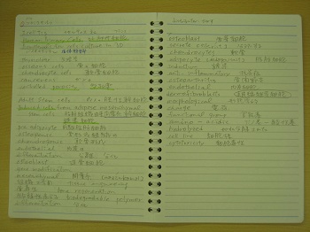 6813.jpg