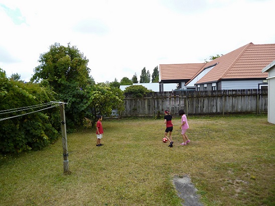 Backyard.jpg