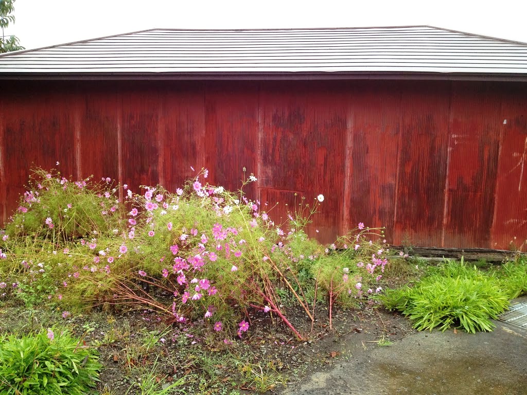 fuji-house.jpg
