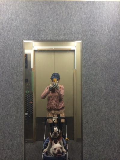 朝らん.jpg