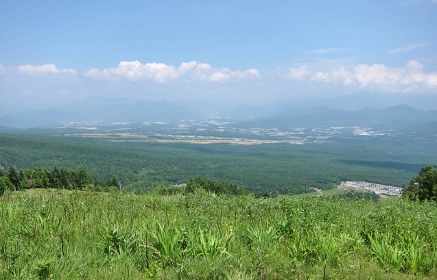 taki-4.jpg