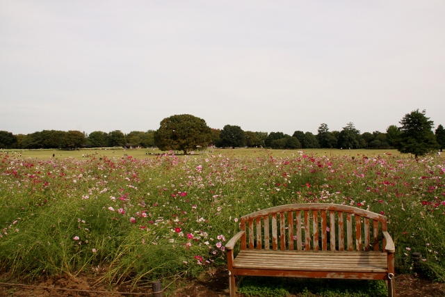 昭和記念公園１５ (640x427).jpg