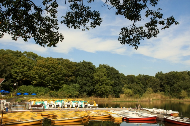 昭和記念公園２ (640x426) (640x426).jpg