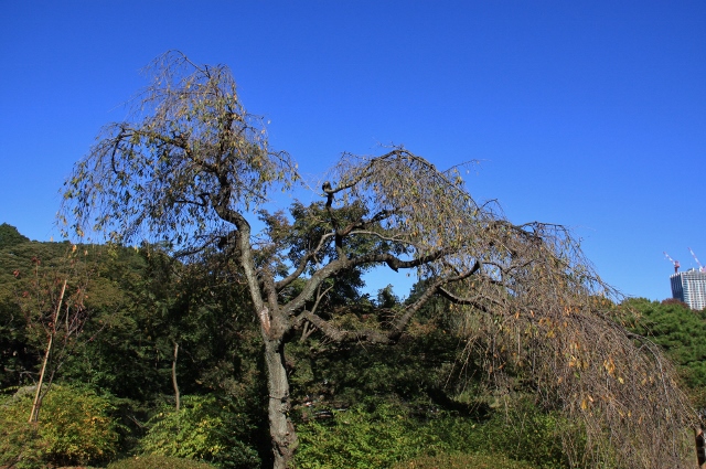 ○７ (640x425).jpg