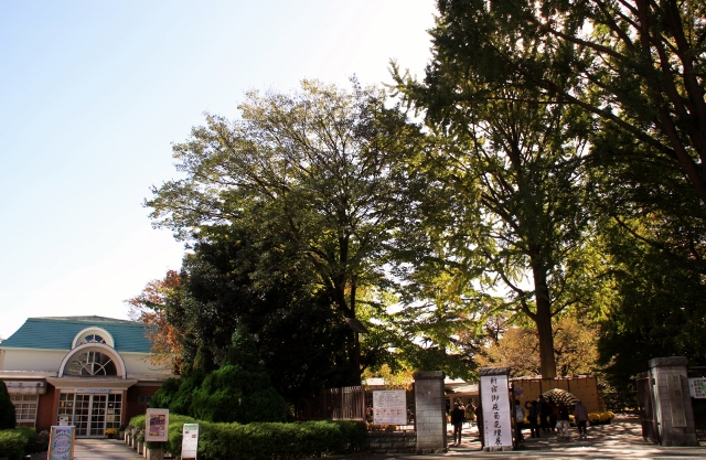 新宿御苑1-1.jpg