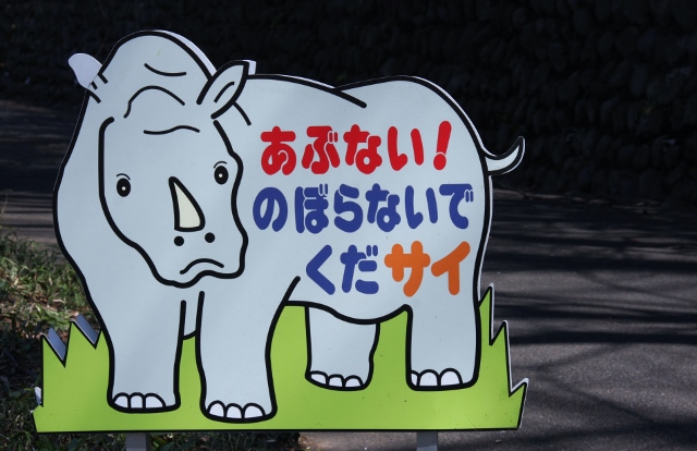 ⓮サイ (640x414).jpg