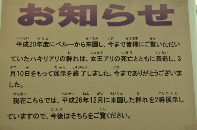 ❾ハキリアリ(640x423).jpg