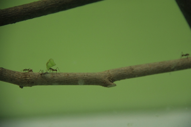 ❾－❶ (640x426).jpg