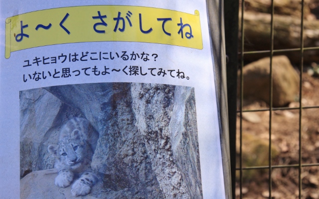 ㉛いない人 (640x399).jpg