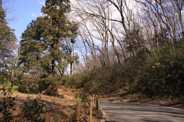 ㉟くだり (640x426).jpg