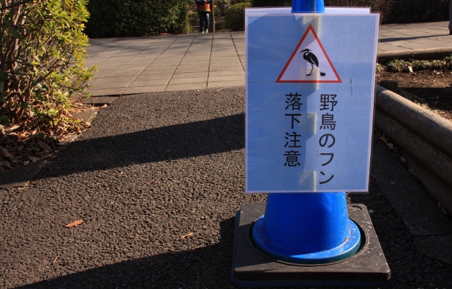 ㊷看板うんこ (640x409).jpg