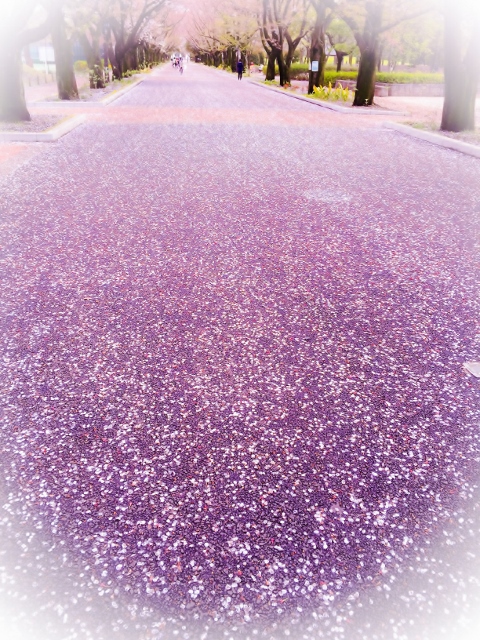 ❺ファイル 2015-04-21 14 17 28 (480x640).jpg