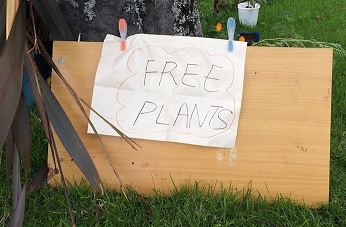 20150622-5.jpg