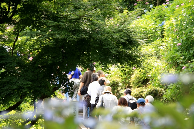 長谷寺・ひとごみ (640x427).jpg