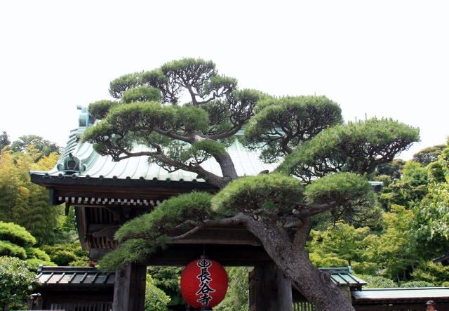 長谷寺・入口 (640x443).jpg