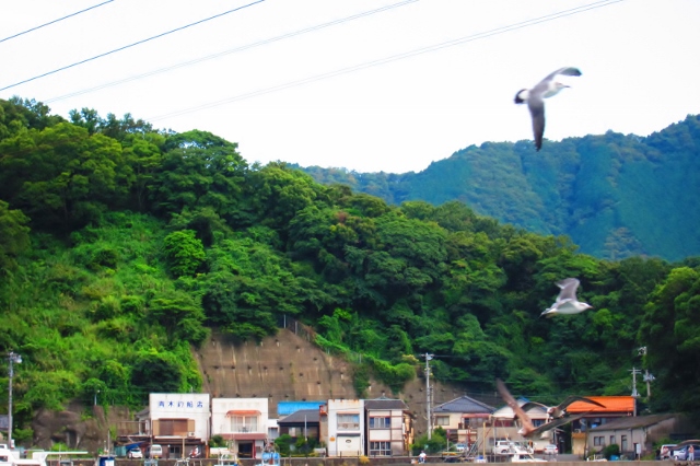 伊豆１１ (640x426).jpg