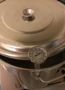 IMAG1121.jpg