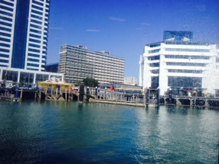 20151026-1.JPG