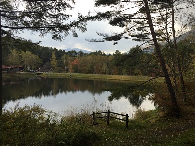 20151011_053735718_iOS.jpg