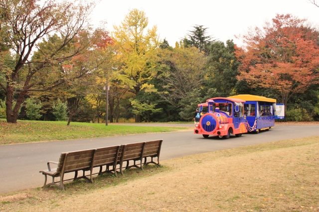 立川⓫ (640x425).jpg
