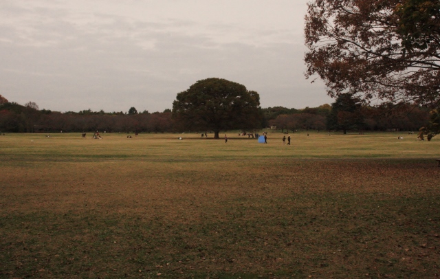 立川❺ (640x406).jpg