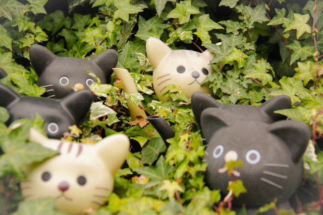 ⑪また神社のねこ (640x427)_edited.jpg