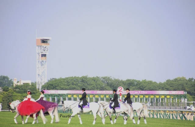 オークス誘導馬 (640x419).jpg