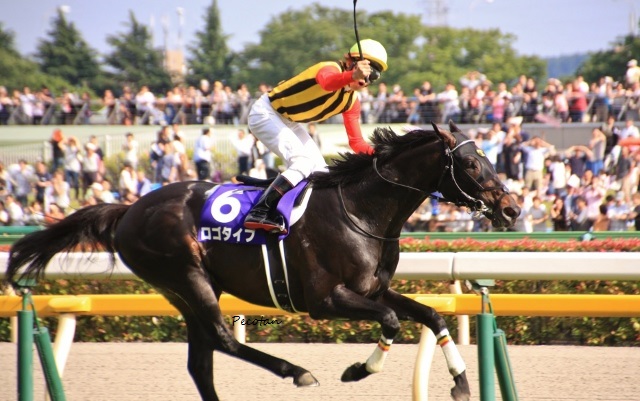 安田記念 (640x401).jpg