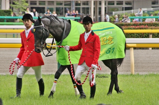 安田記念勝ち馬 (640x424).jpg