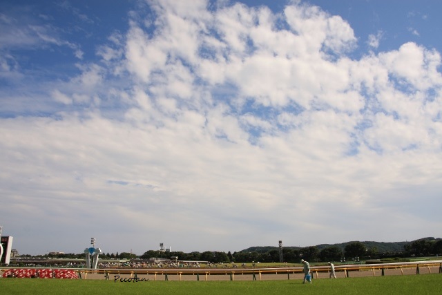 美しい青空＆芝 (640x427).jpg