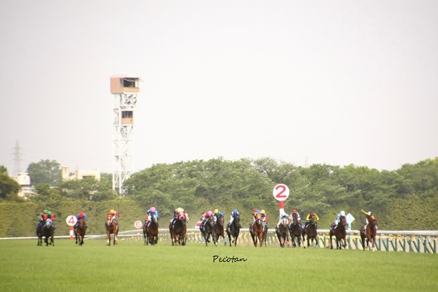 pakapaka (640x426).jpg