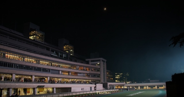 ❺競馬場花火大会16 2016-07-10 244 (640x339).jpg
