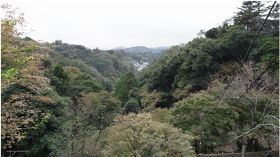 picture.pngのサムネール画像