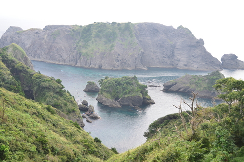 DSC_0333.JPG