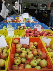 2016-10Apples.JPG