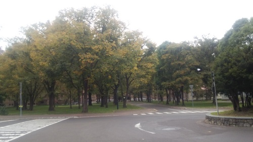 北海道大学②.JPG