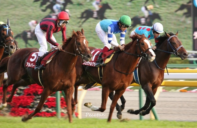 16秋・アルゼンチン共和国杯(シュヴァルグラン) 2016-11-06 125 (640x416).jpg