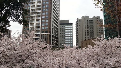 20160405_113054.jpg