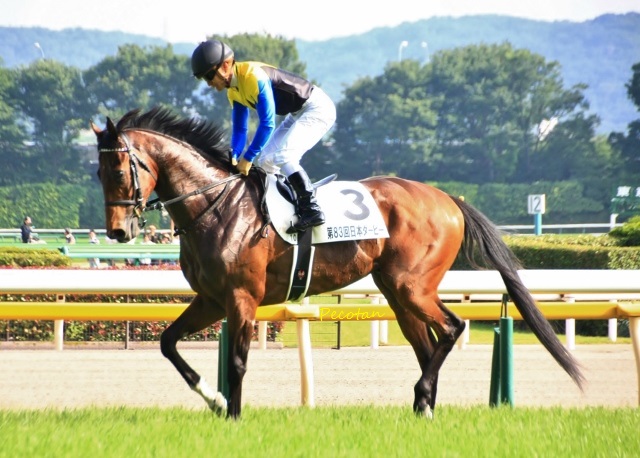 ⓫競馬場日本ダービー2016-05-29 2016-05-29 107 (640x458).jpg