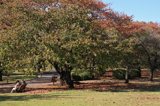 ○１６ (640x426).jpg