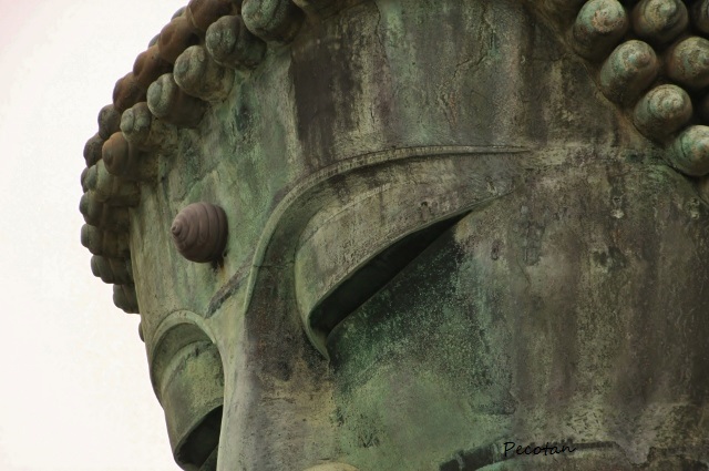 ❺大仏ハイキング4 (640x425).jpg