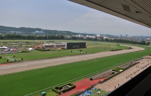 ❻春競馬場NHK講座2016-05-15 2016-05-15 003 (640x406).jpg