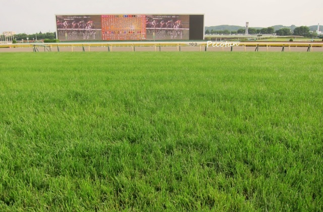 ❼春競馬場NHK講座2016-05-14 2016-05-14 067 (640x419).jpg