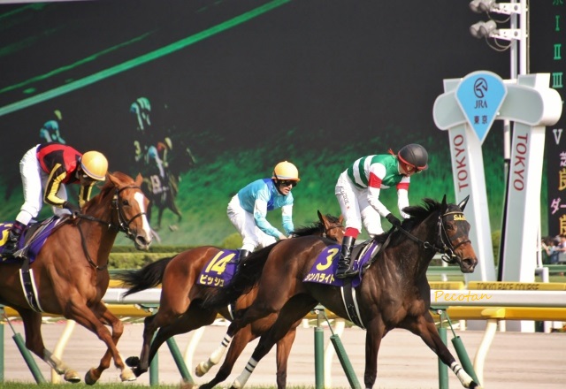❽春競馬オークス2016-05-22 2016-05-22 183 (640x440).jpg