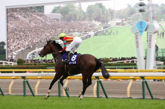 ㉒16秋・天皇賞(モーリス) 2016-10-30 309 (640x425).jpg