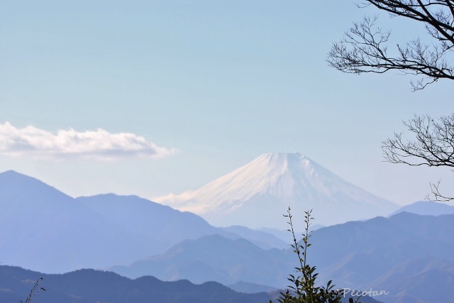 ㉛16秋・高尾山(紅葉&富士山wまーちゃん) 2016-11-29 015 (640x427).jpg