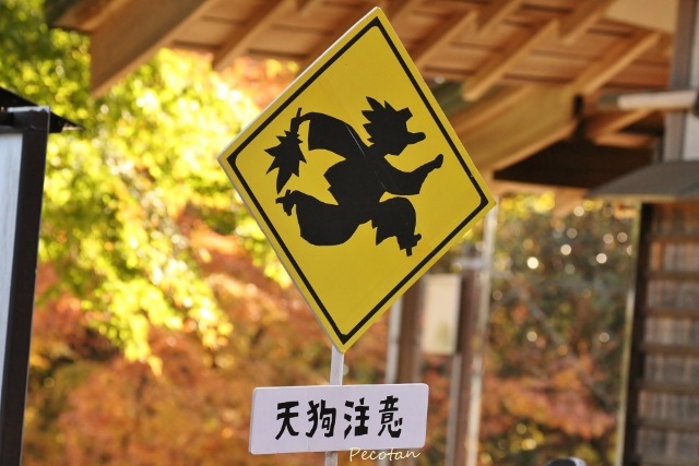 ㉜16秋・高尾山(紅葉&富士山wまーちゃん) 2016-11-29 064 (640x427).jpg