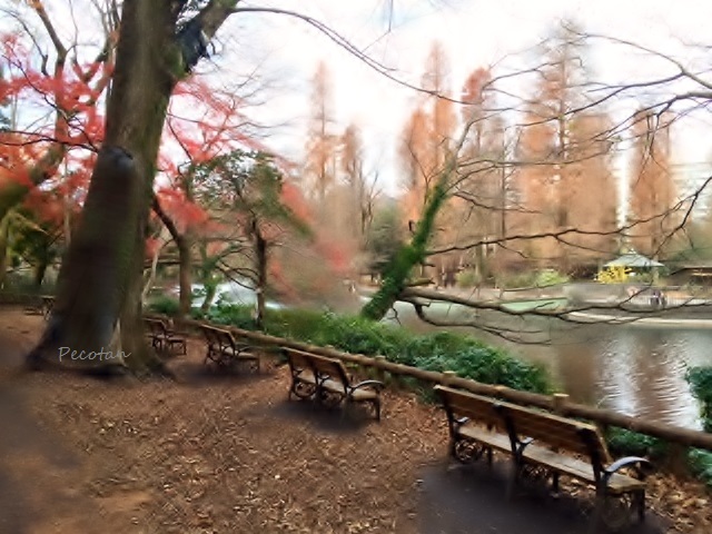 ㉟井の頭公園1 (640x480).jpg