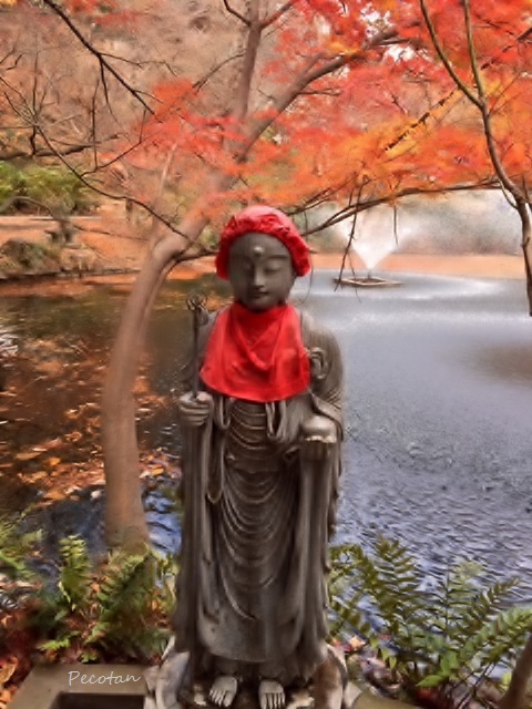 ㊱井の頭公園3 (480x640).jpg